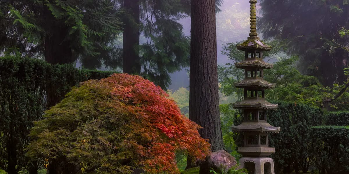 A tall stone lantern stylized like a pagoda next to a maple.