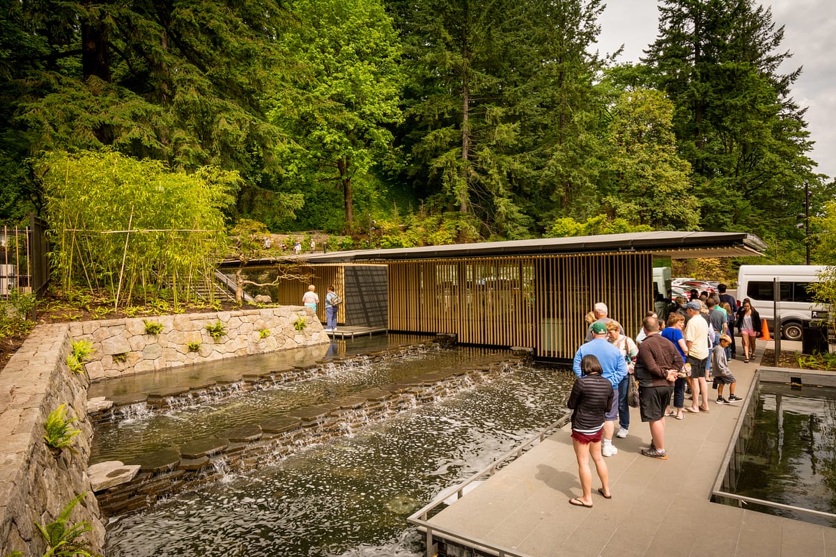 20170607_JapaneseGardens - 170607 - _DSC6948