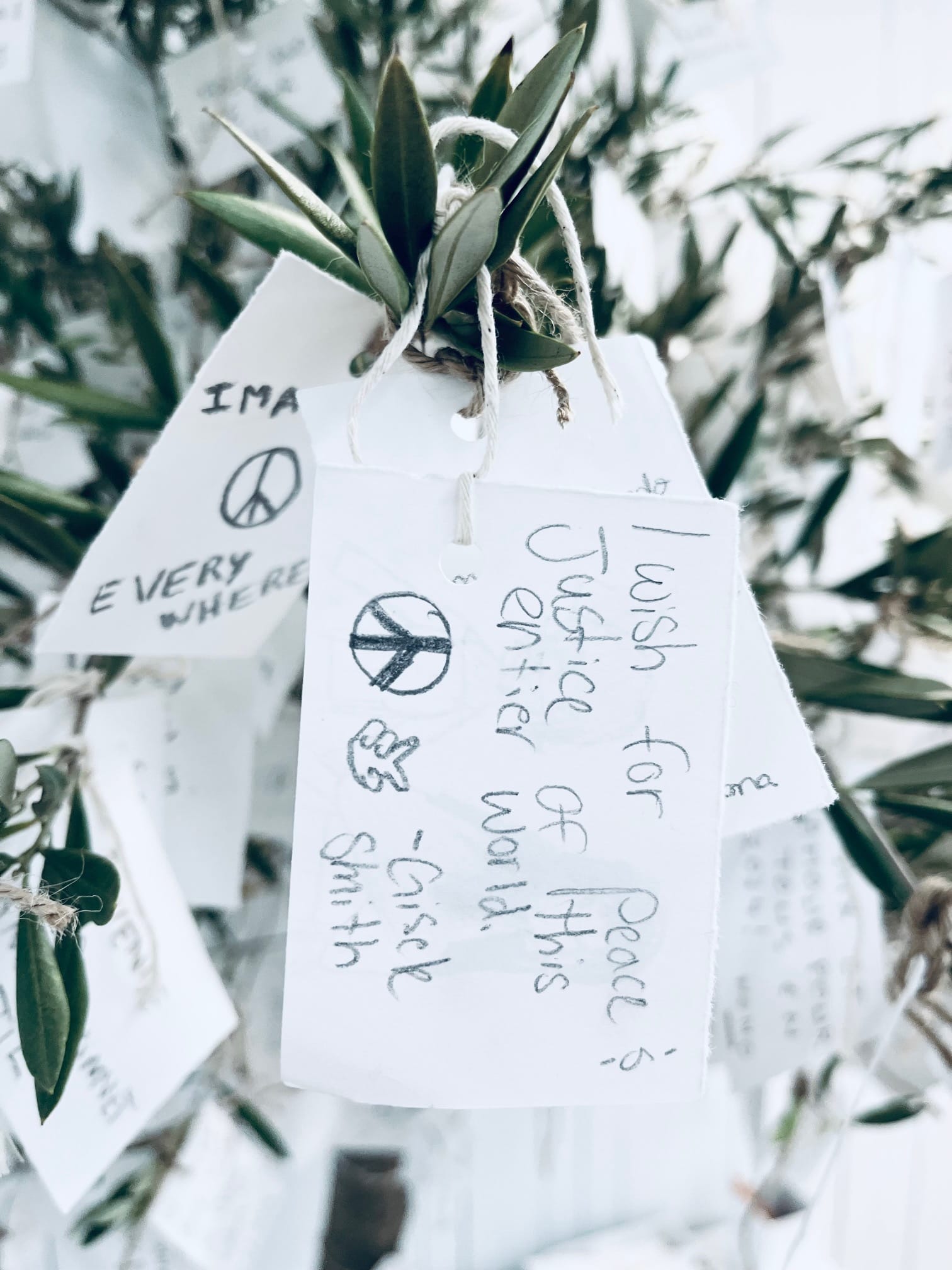 SPREAD PEACE: Wish Tree by Yoko Ono – Portland Japanese Garden