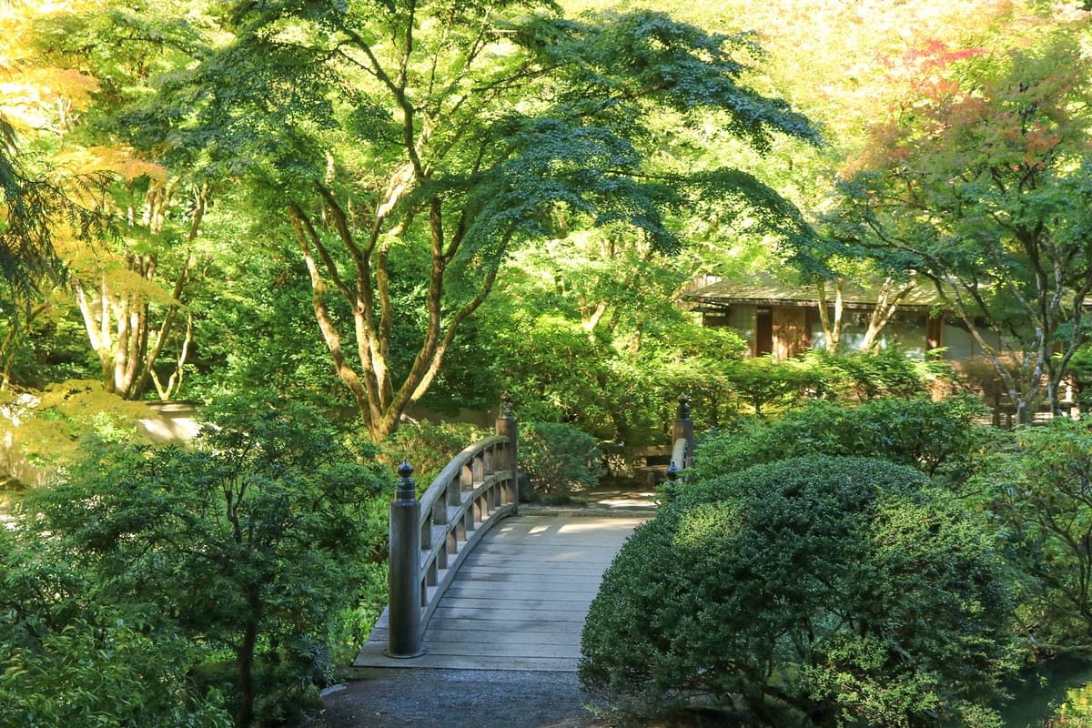 LR_Portland Japanese Garden_Fall Colors 2017_ Julia Taylor_IMG_0945