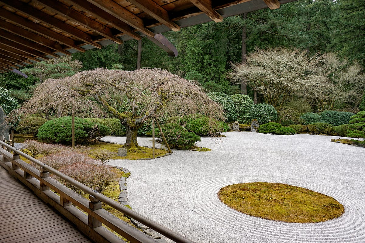 Portland Japanese Garden -Cherry Blossom Spring Watch - 3.21 - DSC02398