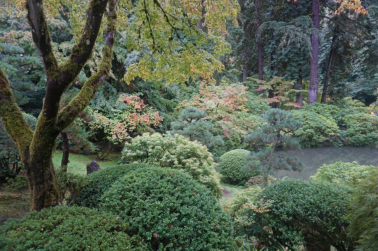 Portland Japanese Garden Early Fall Colors by Tyler Quinn - 2018-10-09 - DSC00903_low