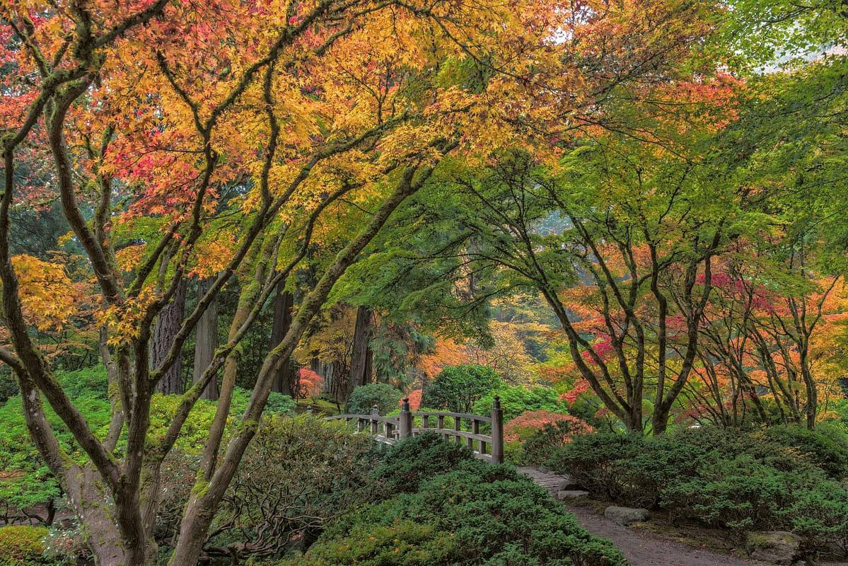 Moon Bridge surrounded by fall color. Photo by Roman Johnston