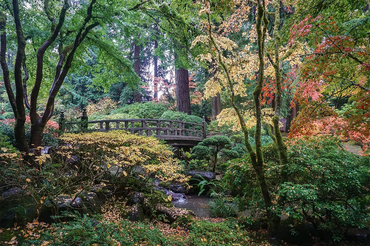 Peak Color Portland Japanese Garden. Photo by Tyler Quinn - 2018-10-29 - DSC01504_low