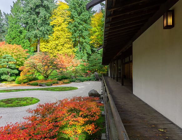 Red, yellow, and orange leaves on trees next to a raked gravel garden and wooden building.