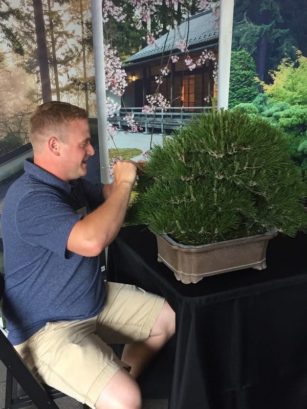 Andrew Robson demonstrating the art of bonsai