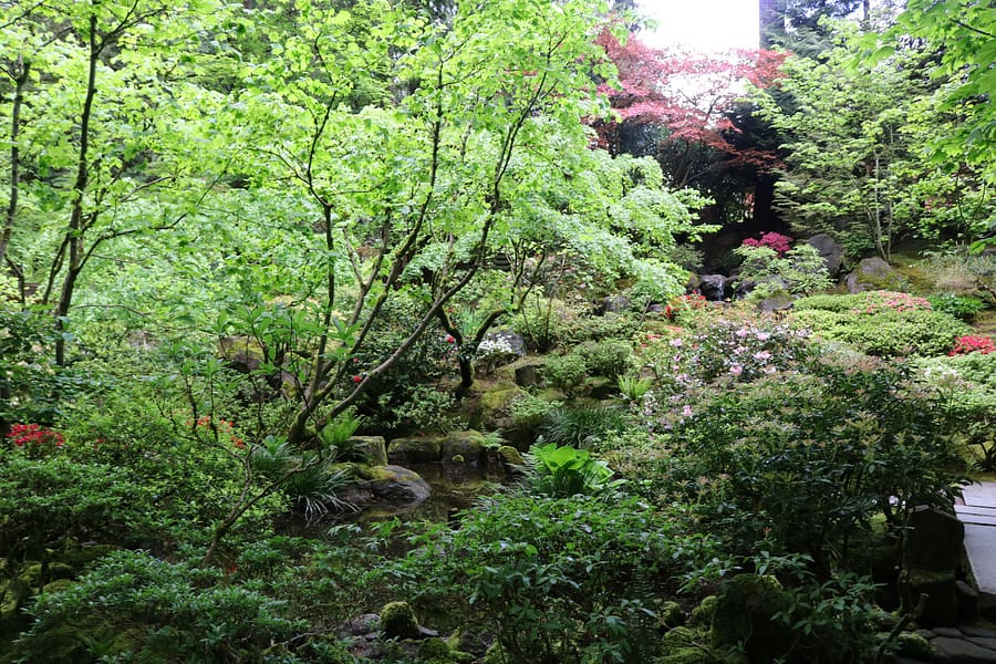 A Walk Through the Natural Garden – Portland Japanese Garden