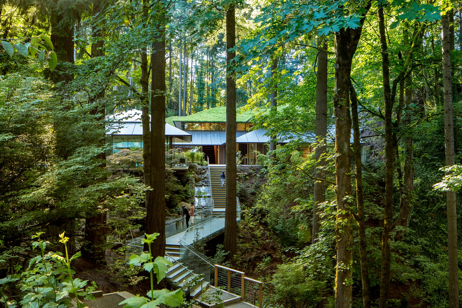 A photo of Portland Japanese Garden depicting an entry pathway up stairs through a woods