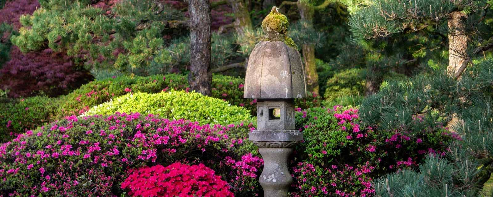 2024_04_22_SpringBlooms-FlatGarden_PhotoByPJG-5 copy