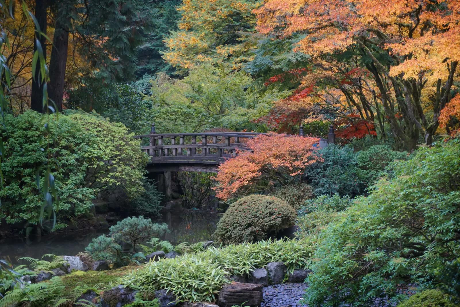参观– Portland Japanese Garden