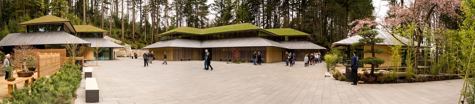 20170331_JapaneseGardenRenovation - 170331 - _ACS6816-Pano