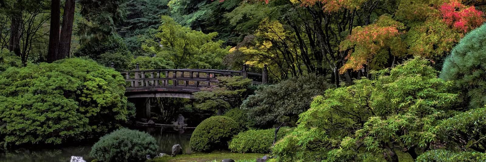 corporate-sponsorships-moon-bridge-portland-japanese-garden