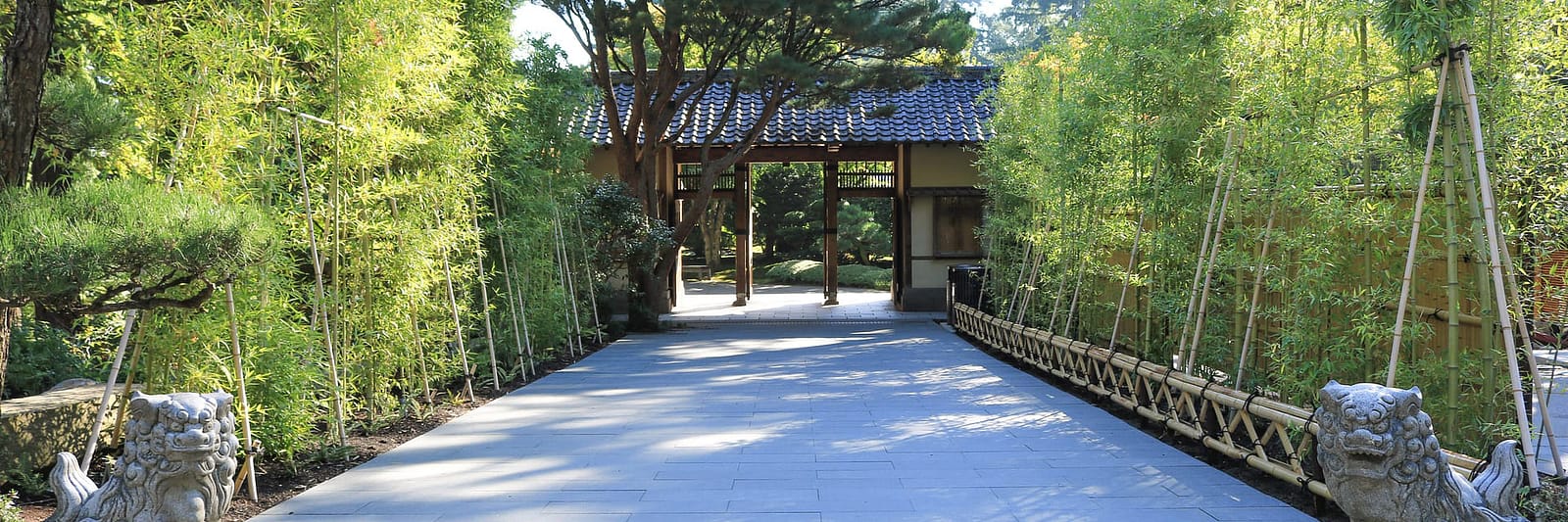 HR_PJG_Julia-Taylor_Fall-Colors-2017_IMG_0863-1