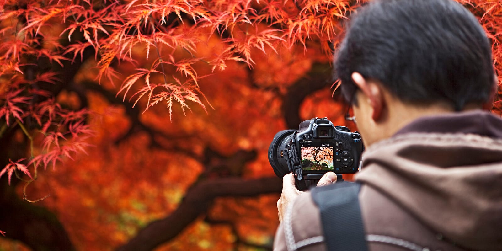 Photographer and Maple - 2009-10-23 - 2461_5812ad213e28745