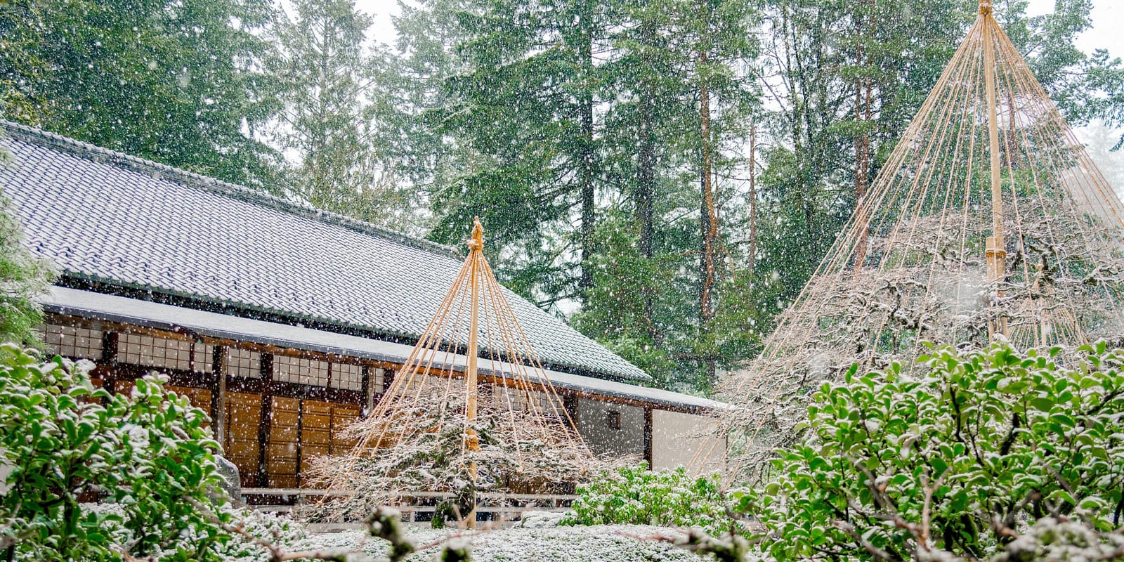 2025_02_05_Winter_PhotoByPJG-55-narrow