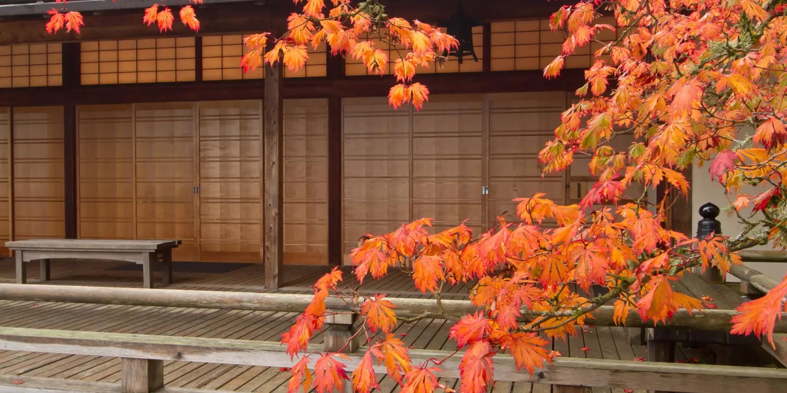 Sutton, William -16-09-2015 - Calendar WSutton_Fall (2)