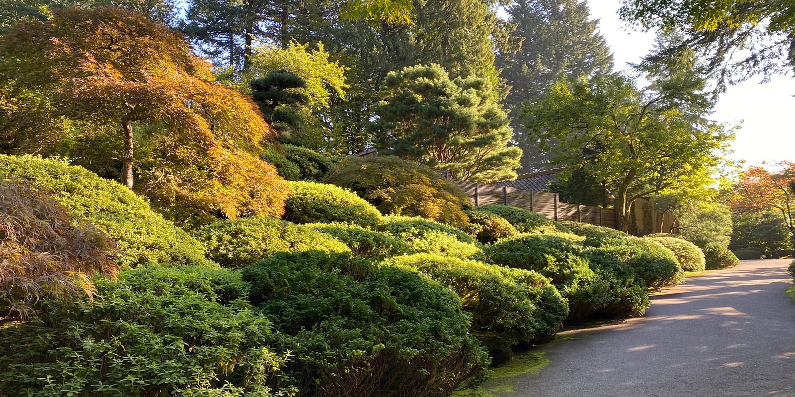 Photo Oct 06, 9 35 14 AM