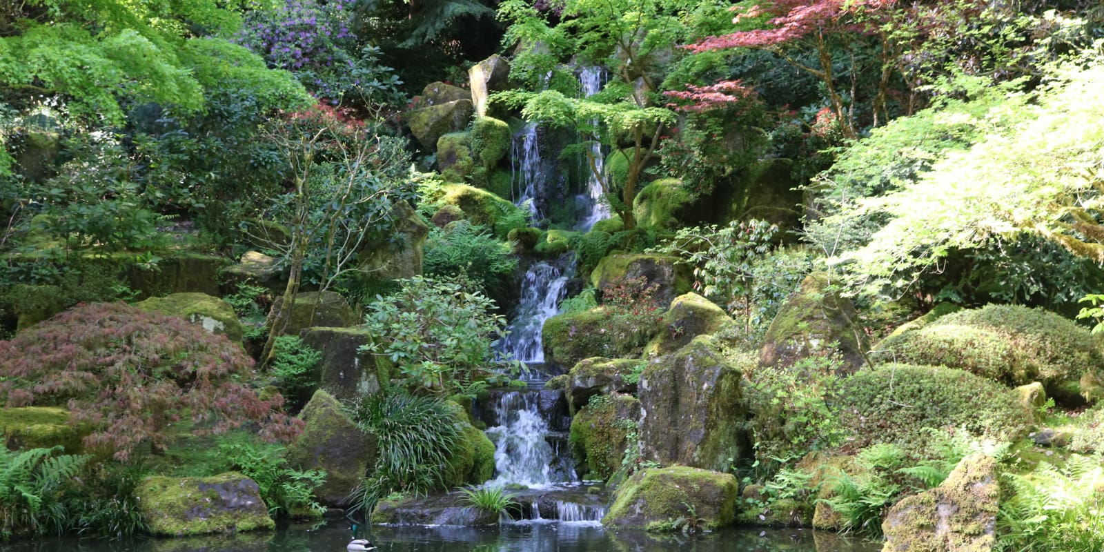 Julia Taylor_May 2017_IMG_5592