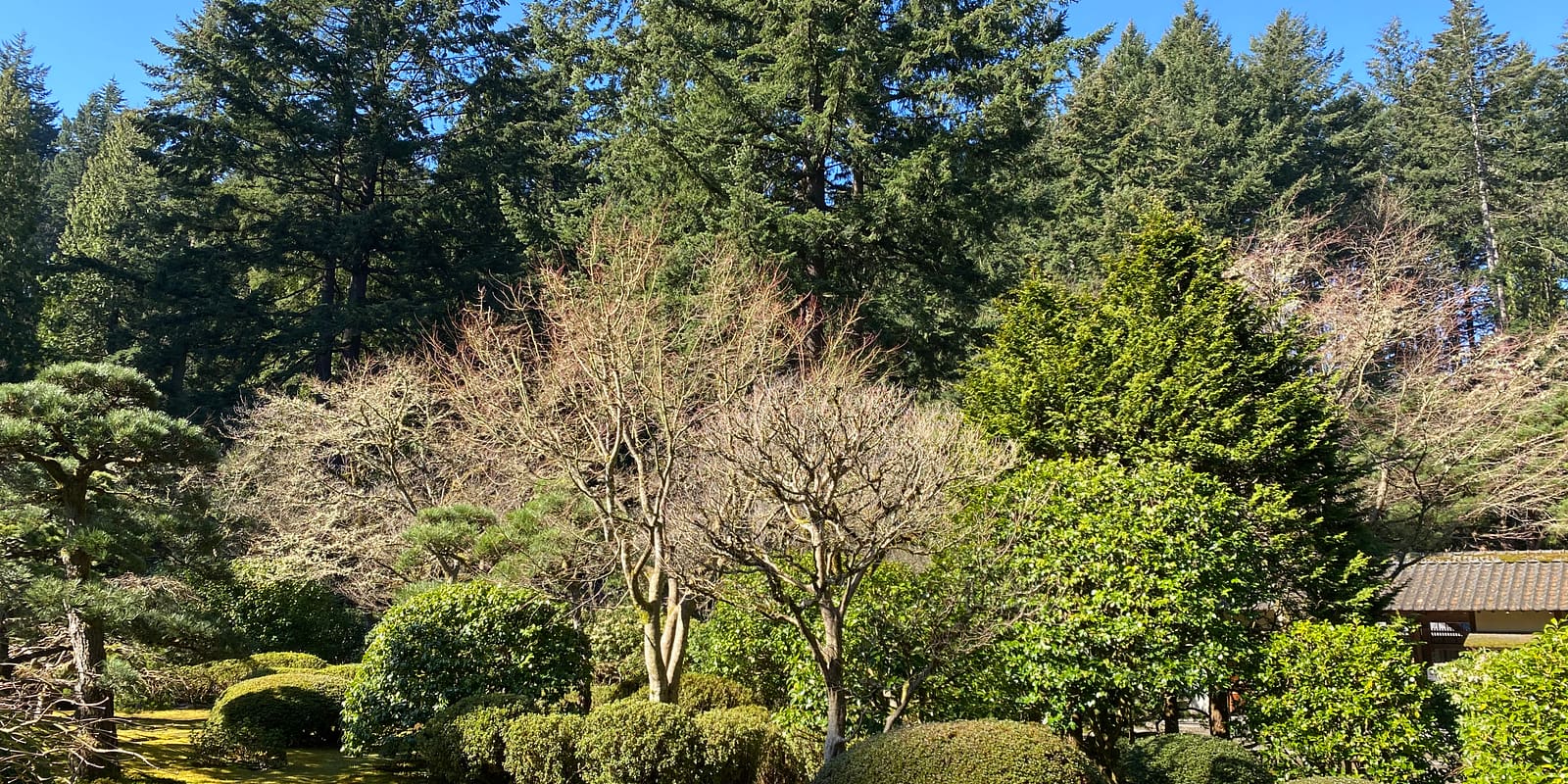 Photo Mar 11, 10 17 59 AM