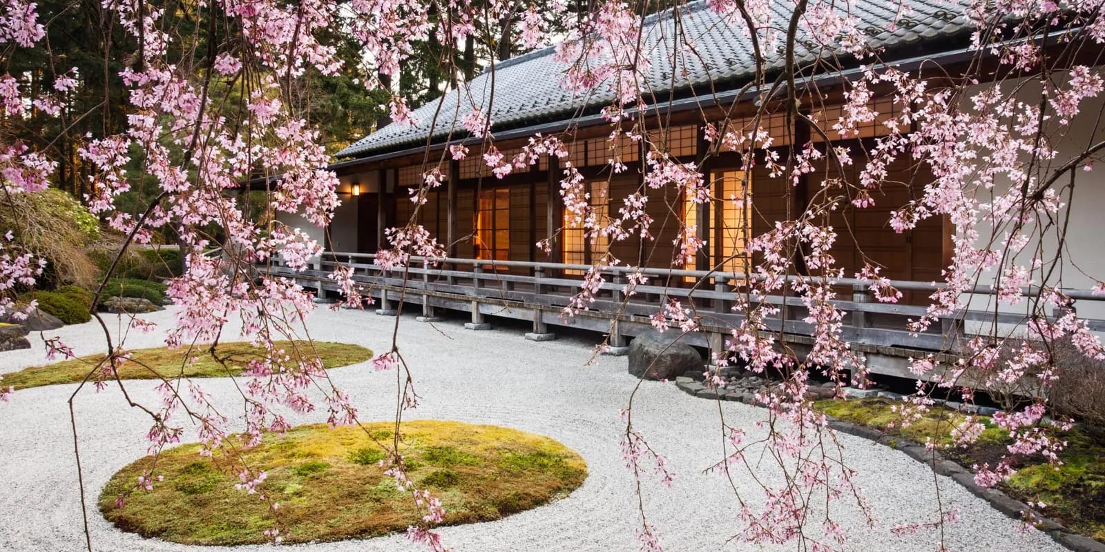 Flat-Garden-and-Pavilion-from-Beneath-the-Weeping-Cherry.-Photo-by-Joanthan-Ley-1