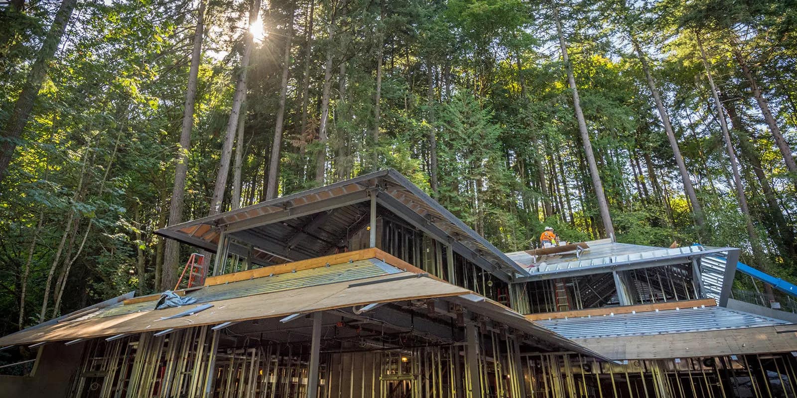 20160817_JapaneseGardenRenovation-160817-_DSC2308-2-resized