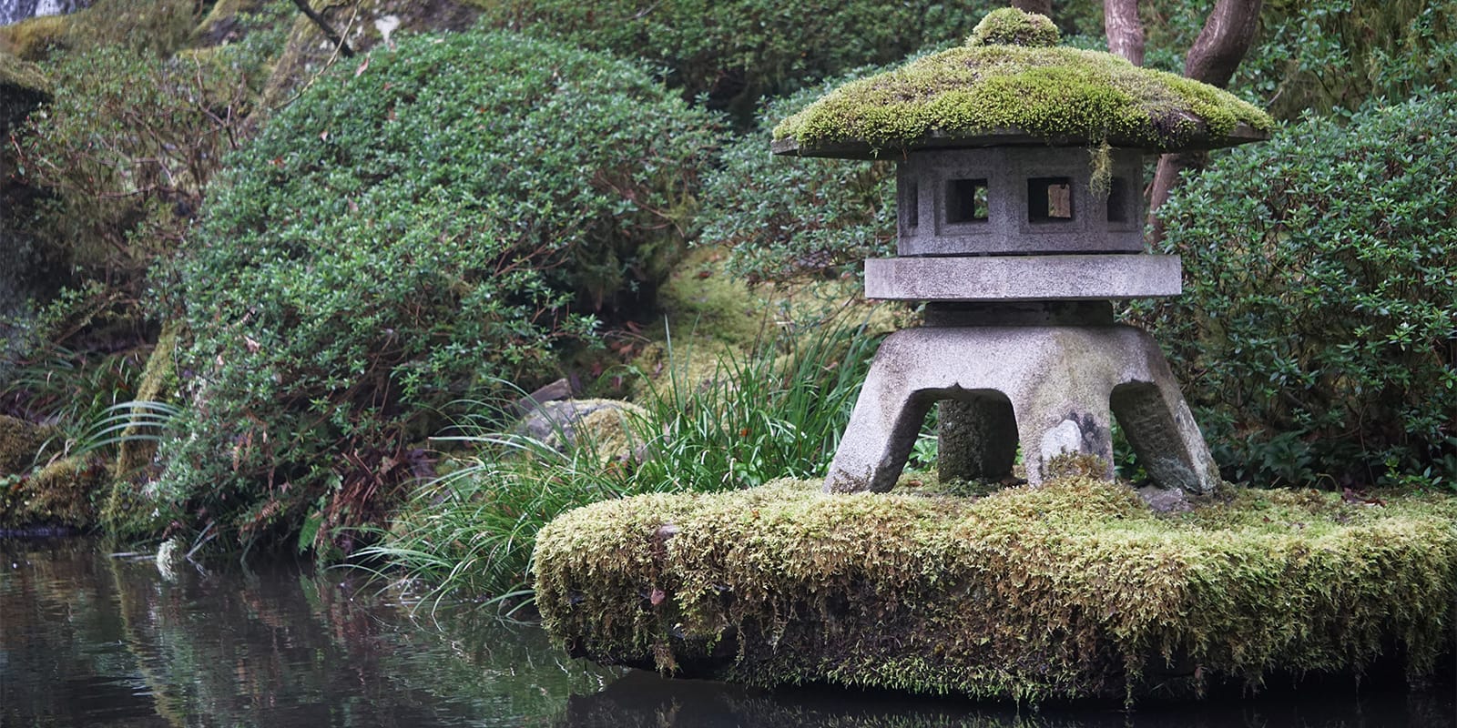 Foggy February Morning by Tyler Quinn - 2018-02-08 - Snow Viewing Lantern in Winter
