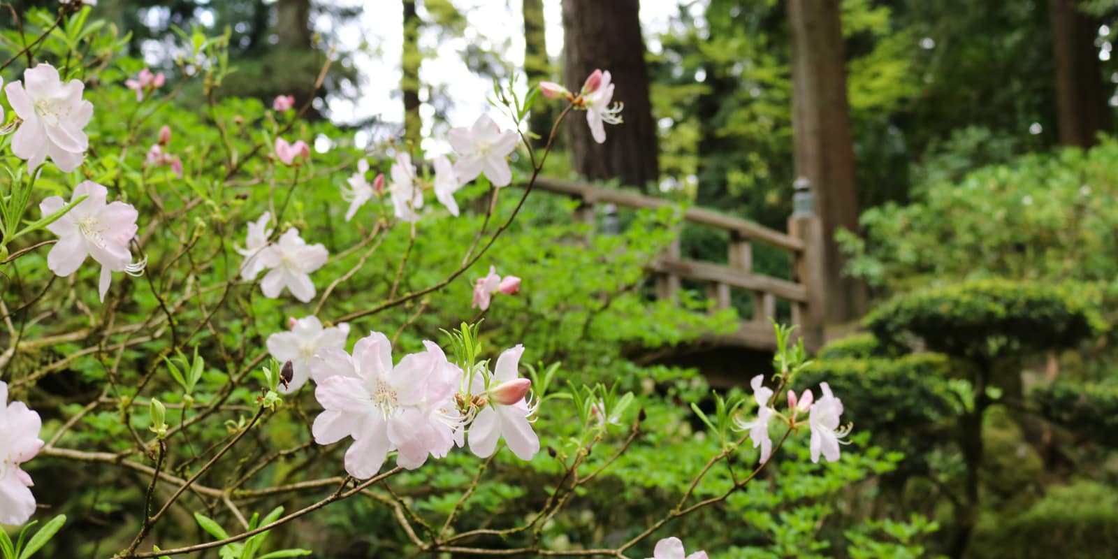 Julia Taylor_April 2017_Web_IMG_4882