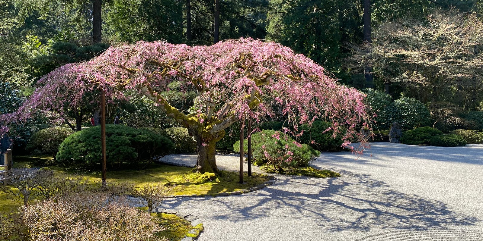 Photo Mar 31, 12 10 33 PM (1)