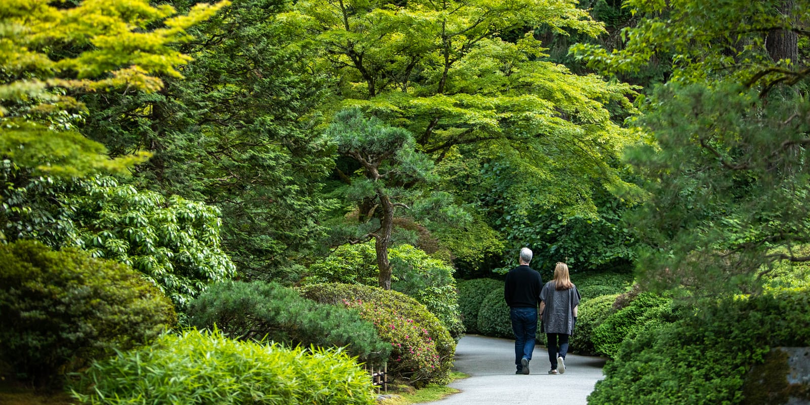 Twilight Hours - 2019-07-19 - Jonathan Ley - image-046