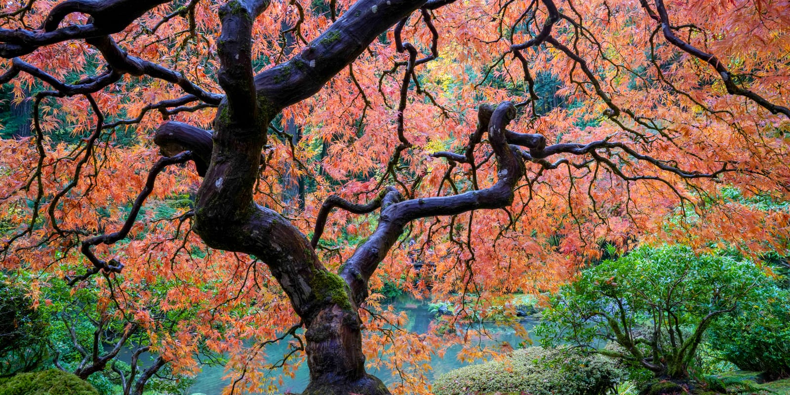 Fall Colors HD-20191022- by Chris Ruggles-8