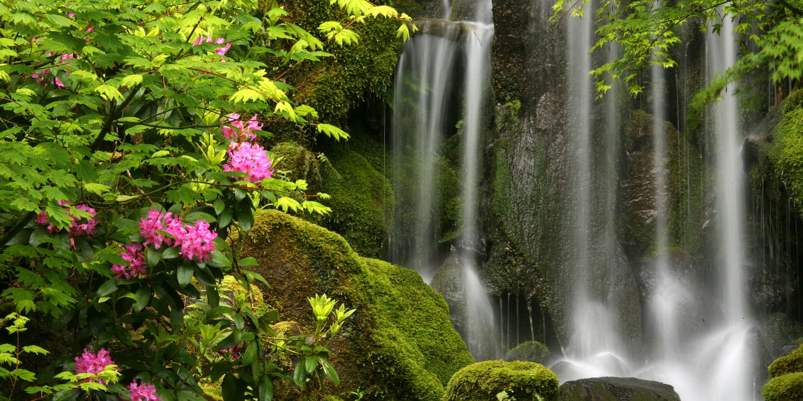 WaterfallJapanese Garden, Portland, ORRayPfortner.com