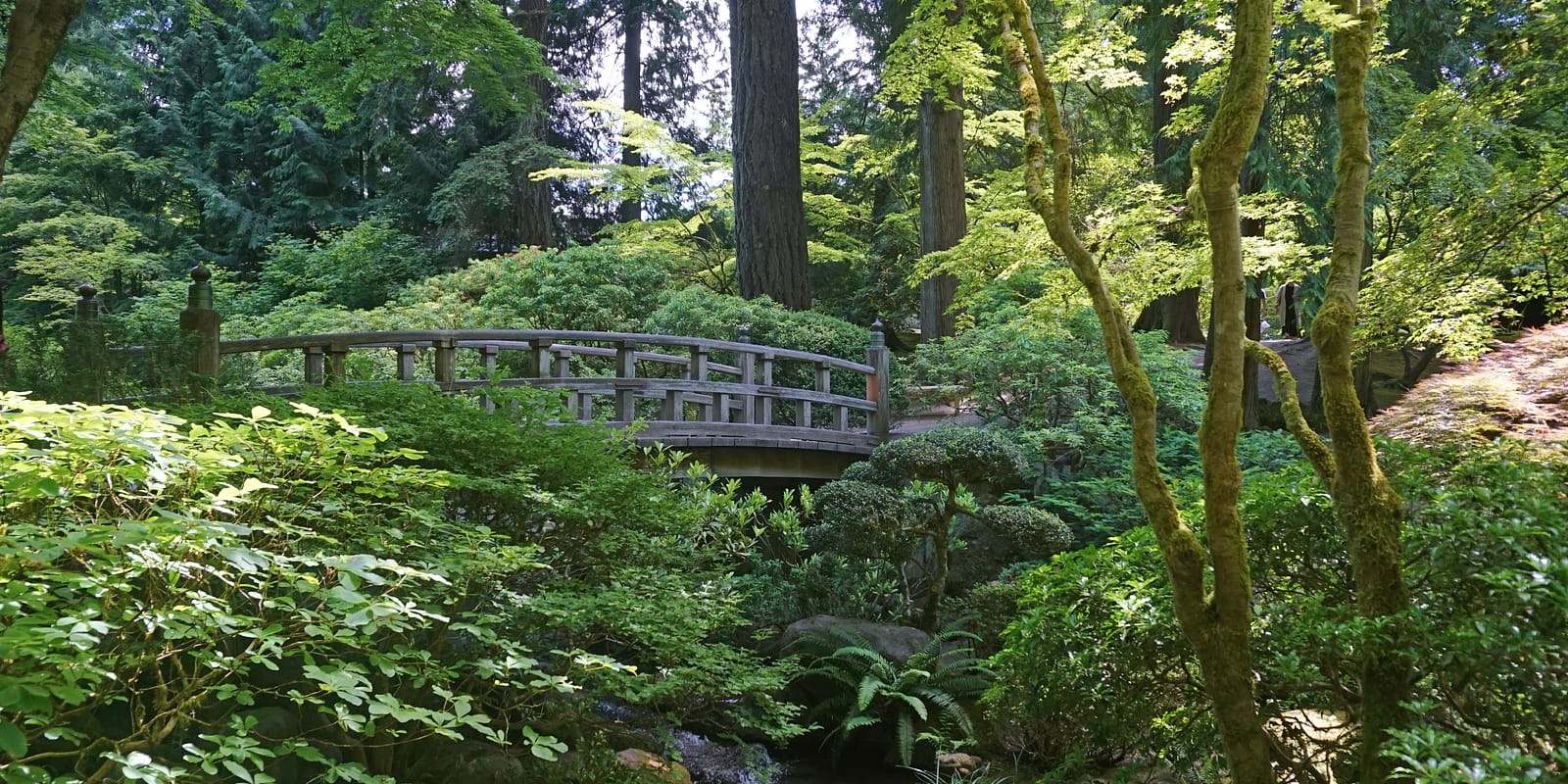 Moon Bridge in the summer. Photo by Tyler Quinn