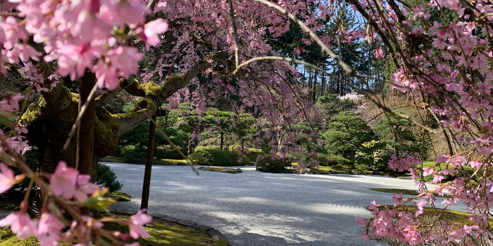 Photo Apr 06, 3 01 27 PM