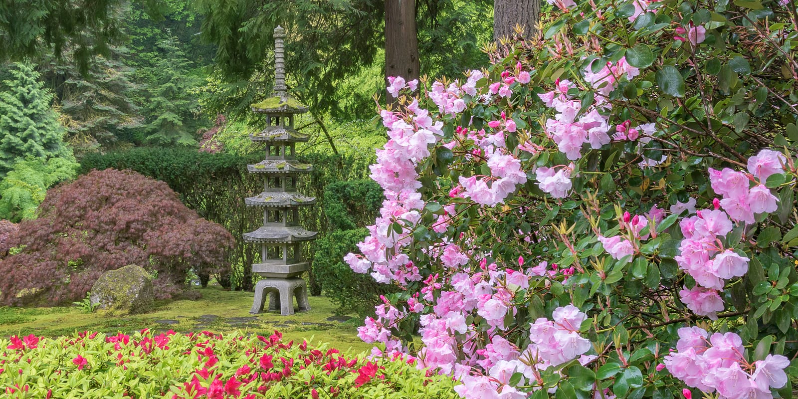 William Sutton_2019 Calendar_Full Rights_WSutton_spring_2