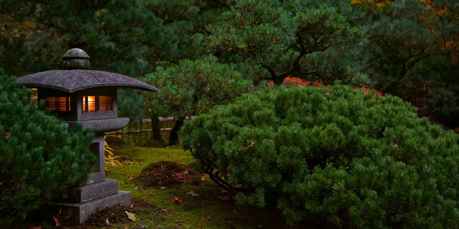 HDSereneScapes Still Photos