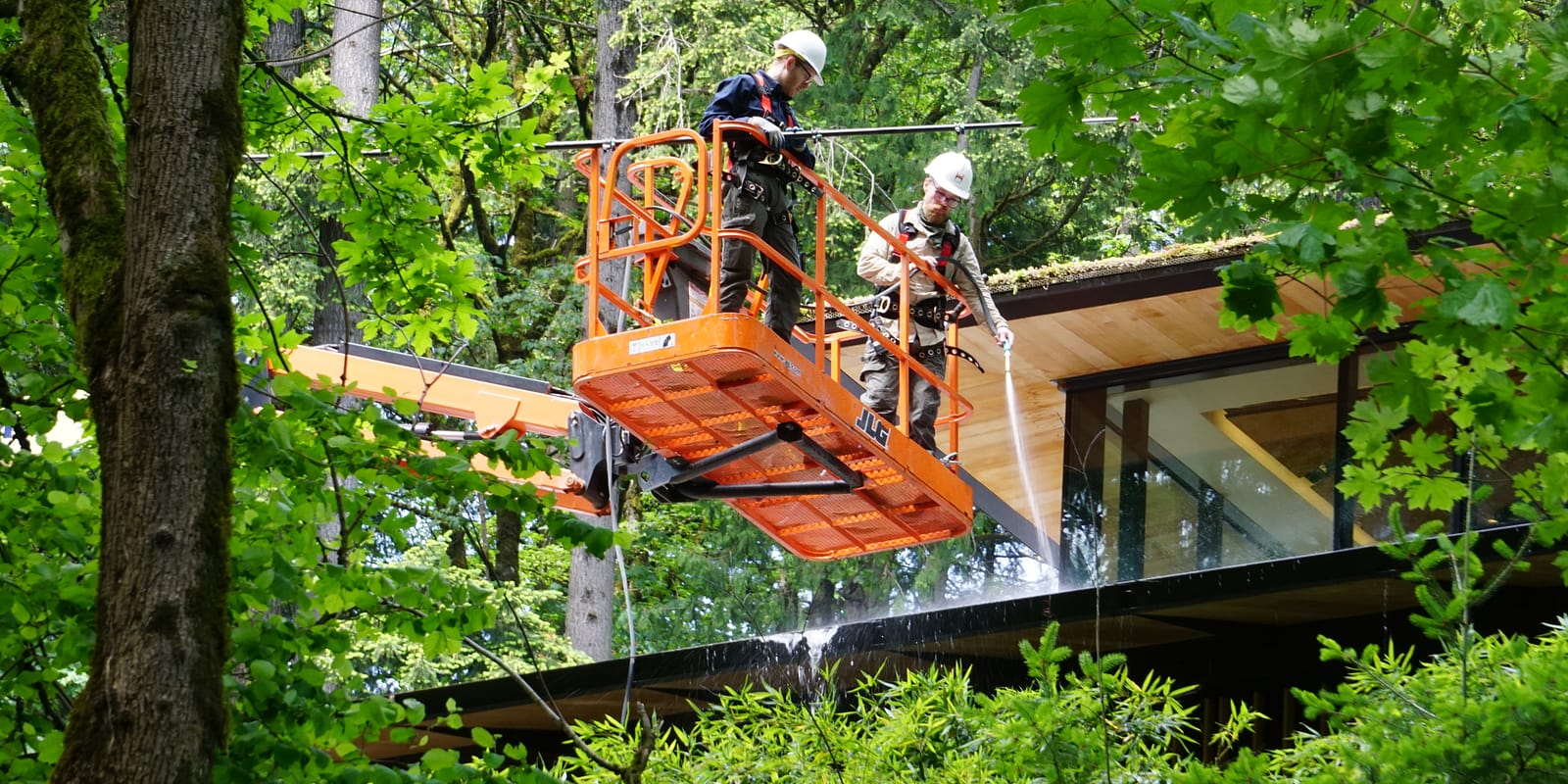 _roofcleaning_6-7-22_WillLerner