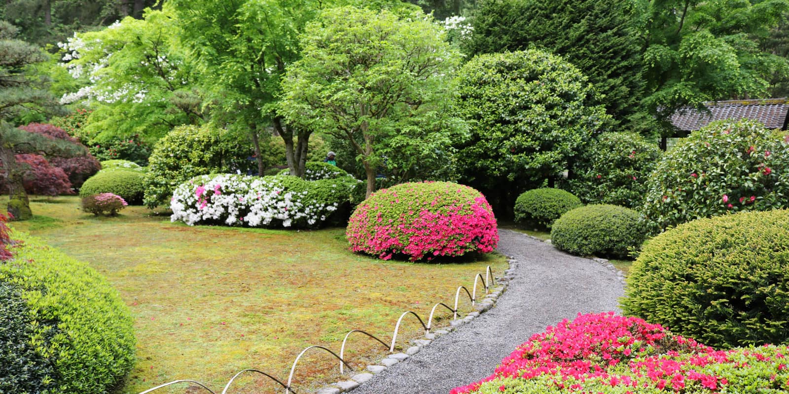 Julia Taylor_May 2017_IMG_6019