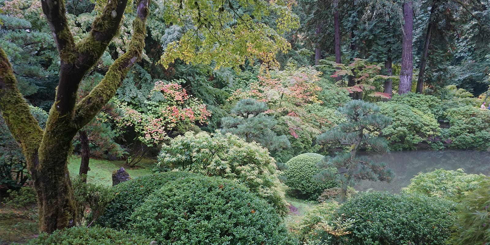 Portland Japanese Garden Early Fall Colors by Tyler Quinn - 2018-10-09 - DSC00903_low