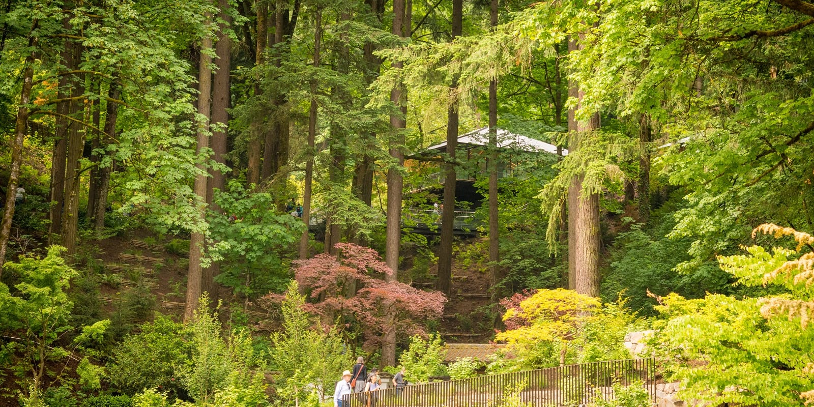 20170607_JapaneseGardens - 170607 - _ACS8615