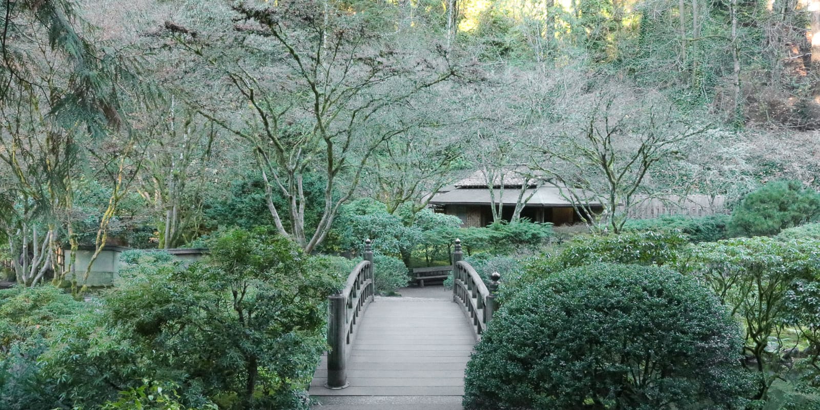 LR_Julia Taylor_Portland Japanese Garden_Dec 2017_IMG_2457
