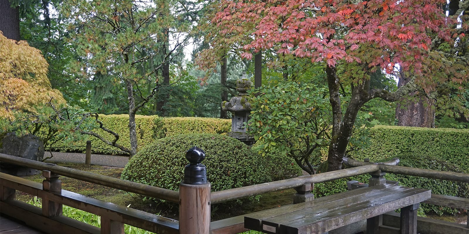 Portland Japanese Garden Early Fall Colors by Tyler Quinn - 2018-10-09 - DSC00952_low
