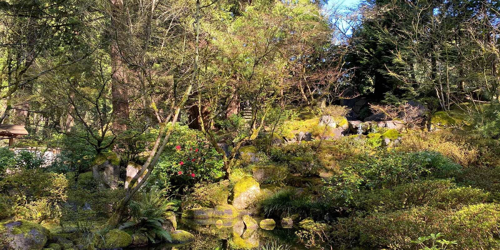 Photo Apr 08, 9 47 09 AM