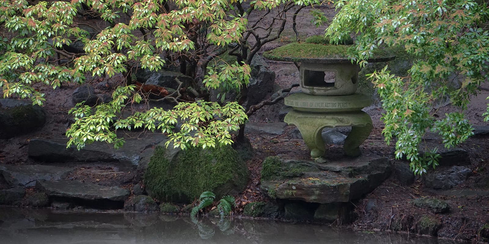 Peace Lantern. Photo by Tyler Quinn (websize)