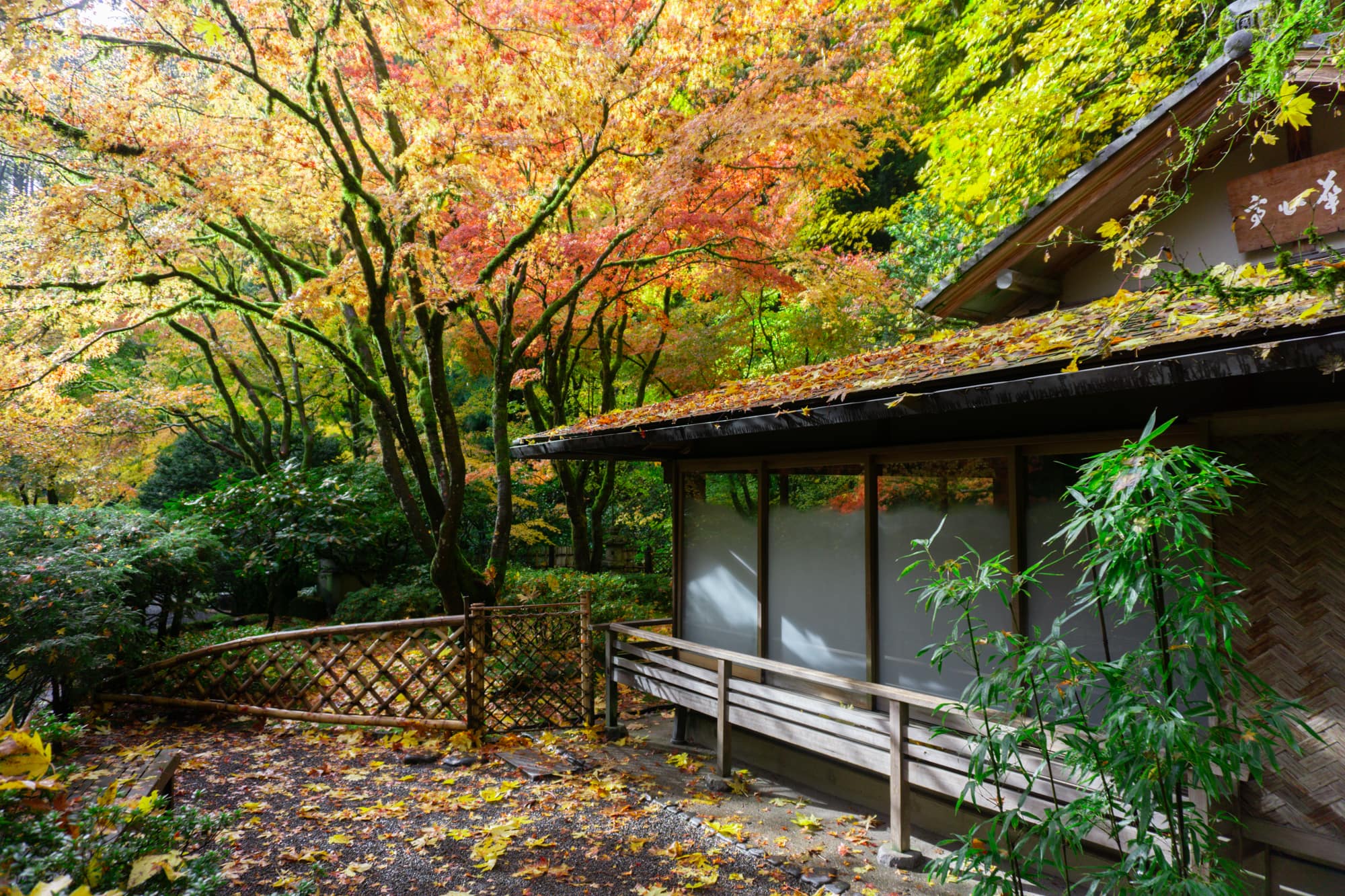 Tranquil Simplicity: Exploring the Meaning of Wabi Sabi in Portland  Japanese Garden – Portland Japanese Garden