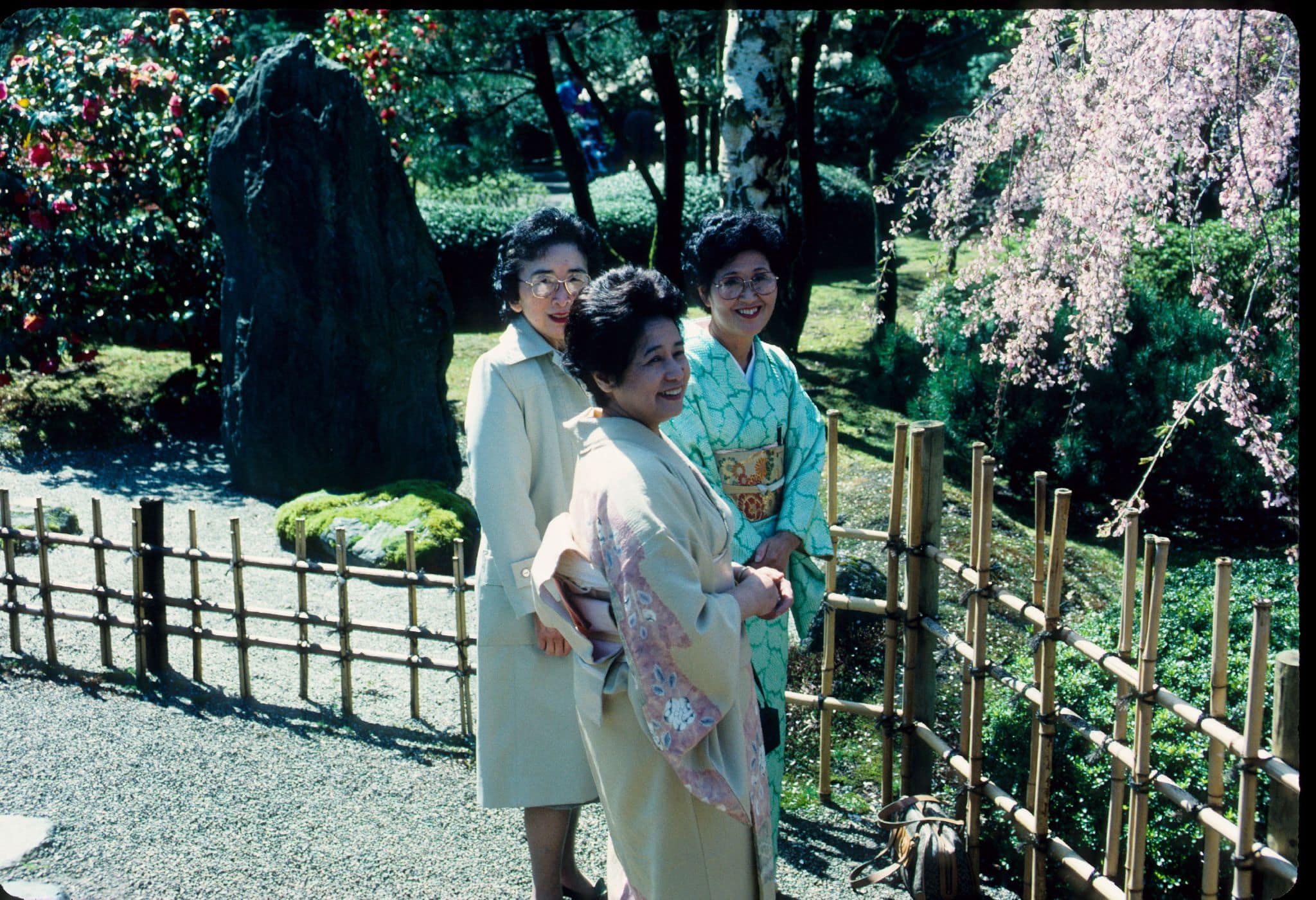 Three women standing next to a weeping cherry tree.