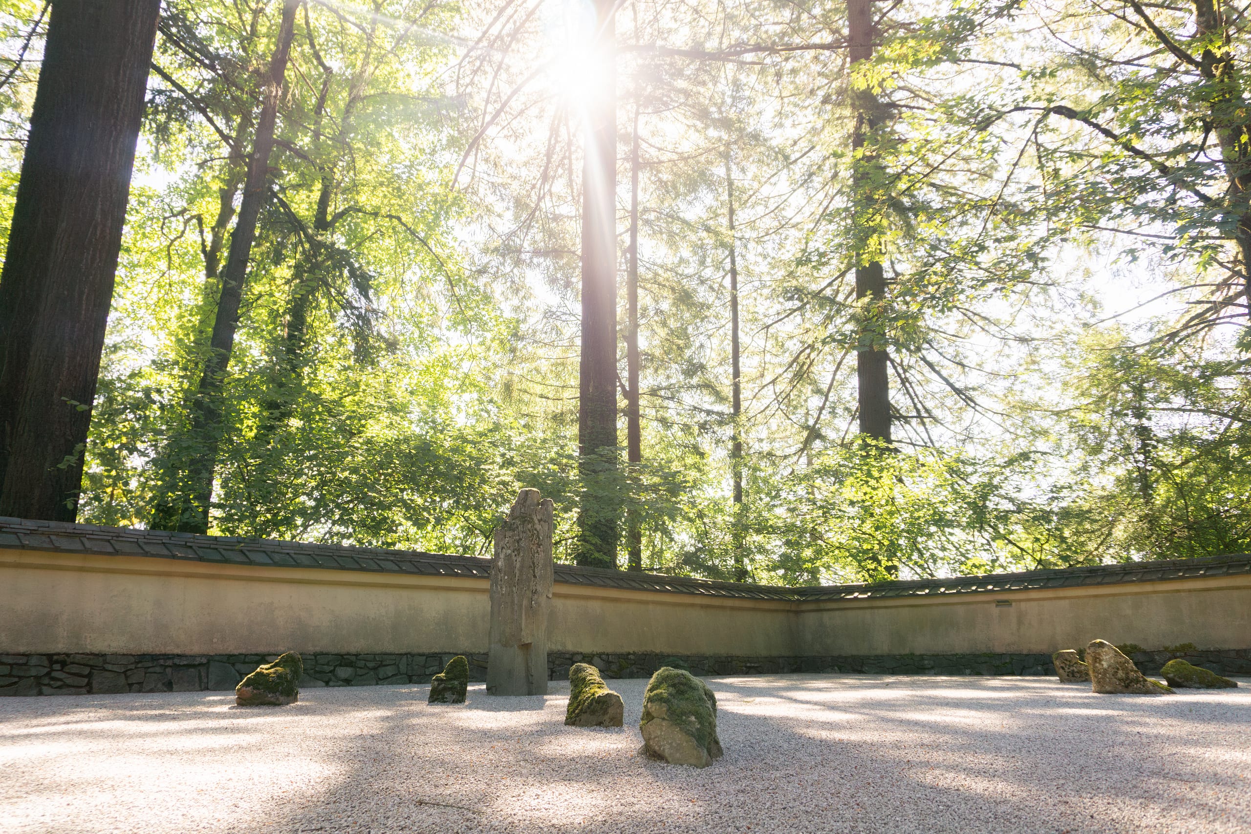 sunlight pours in over a raked gravel garden surrounded by a short stucco wall topped with clay roof tiles