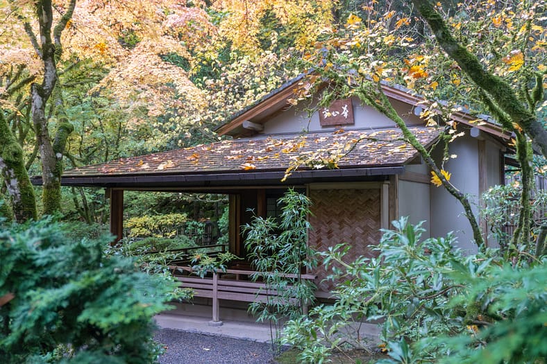 a tea house with fallen leaves on its roof