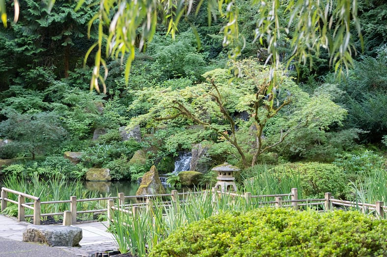 pond with a waterfall and stone lantern