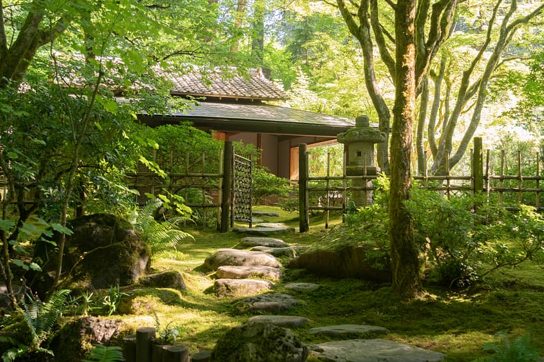 tea house in forested landscape