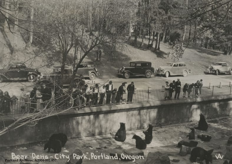 A black and white photo of the old Portland Zoo, specifically a bear pit where a waterfall today flows.